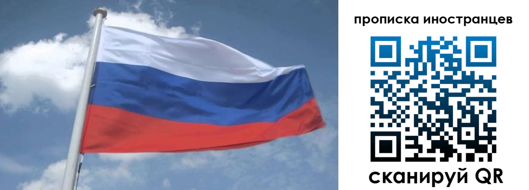 найти адрес прописки в Мурино