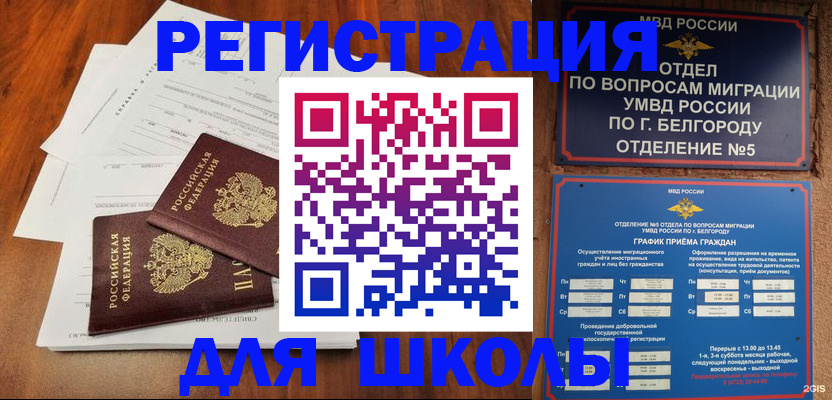 прописка поиск в Мурино